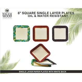 6 inches square paper plates