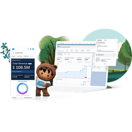 Salesforce Platform Customisation, Development and Consulting Services