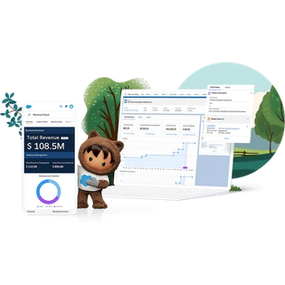 Salesforce Platform Customisation, Development and Consulting Services