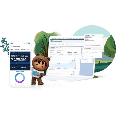 Salesforce Platform Customisation, Development and Consulting Services