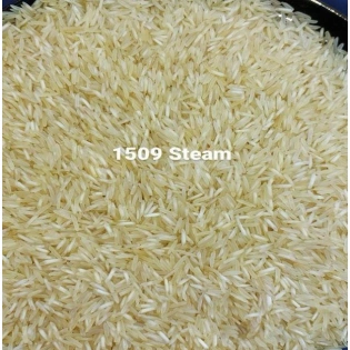 1509 Steam Basmati Rice