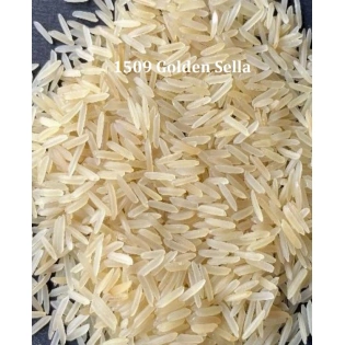 1509 Golden Sella Basmati Rice