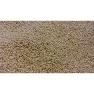 Browntop Millet