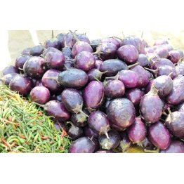 Brinjal