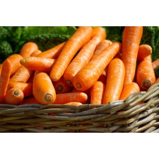 Carrots