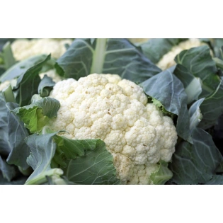 Cauliflower