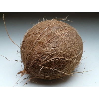 Coconut with Husk