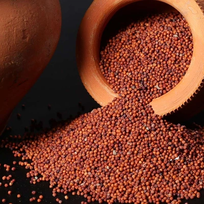 Finger Millet Ragi