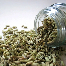 Fennel Seeds Powder