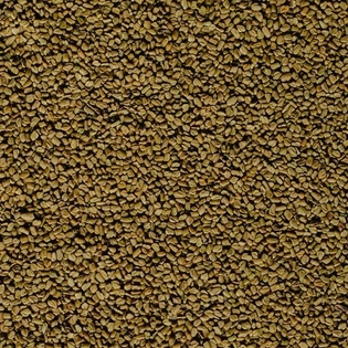 Fenugreek Powder