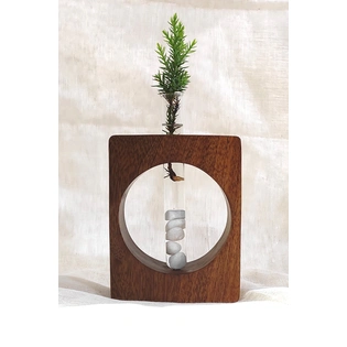 Nature's Rebirth: Wooden Test Tube Propagation Vase