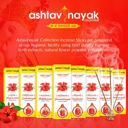 Vedic Vaani™ Ashtavinayak Collection Incense Sticks