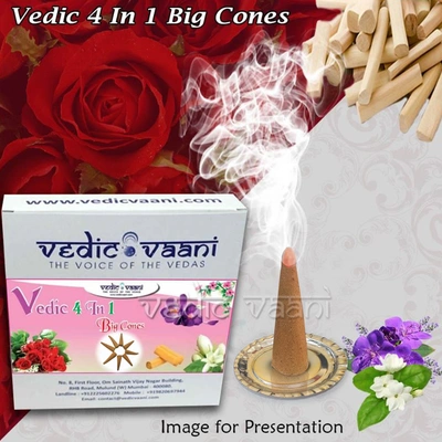 Vedic 4 In 1 Big Cones