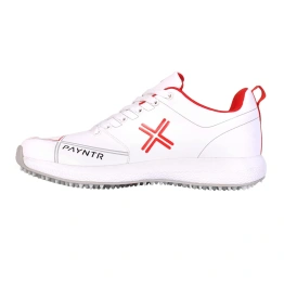 Payntr Men Cricket Shoes