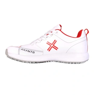 Payntr Men Cricket Shoes