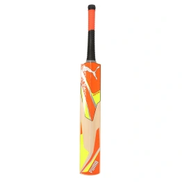 Puma Men's Future 2.1 Cricket Bat