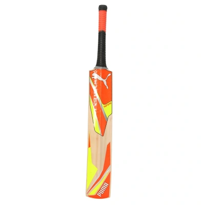 Puma Men's Future 1.2 Cricket Bat