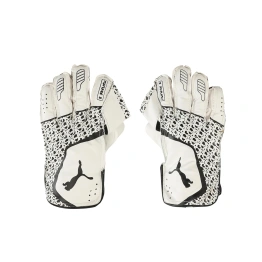 Puma Men's Future 3 Wicketkeeper Gloves