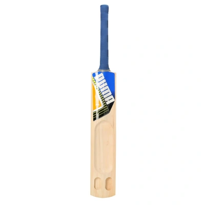 Puma Men's Future STB 1.3 KW Cricket Bat