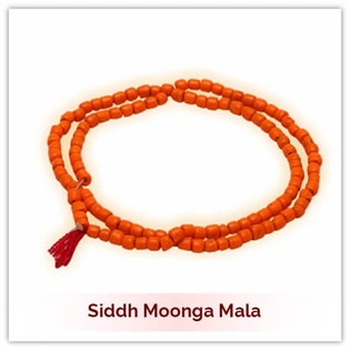 Siddh Moonga Mala (Red Coral Mala)