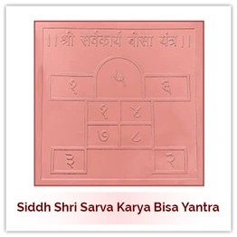 Siddh Sarva Karya Bisa Yantra