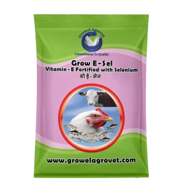 Pet Birds : Grow E-Sel – Vitamin – E with Selenium, Biotin, and Vitamin – C