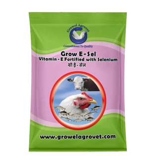 Pet Birds : Grow E-Sel – Vitamin – E with Selenium, Biotin, and Vitamin – C