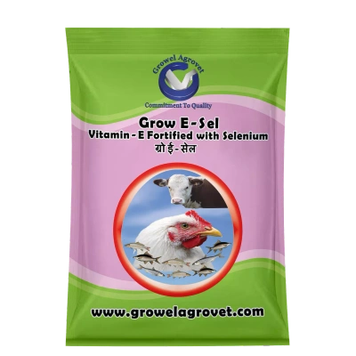 Growel Agrovet Pet Birds : Grow E-Sel – Vitamin – E with Selenium, Biotin, and Vitamin – C