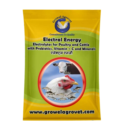 Growel Agrovet Pet Birds : Electral Energy – Electrolytes with Vitamins, Minerals And Probiotics