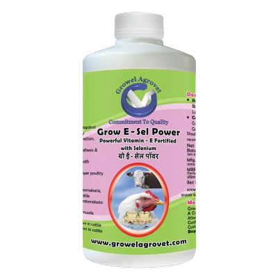 Pet Birds : Grow E-Sel Power – Vitamin E Fortified With Selenium