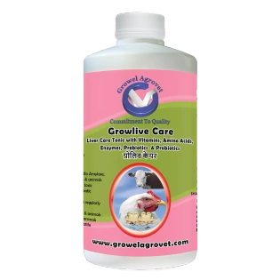 Pet Birds : Growlive Care – Pet Birds : Liver Tonic with Vitamins, Amino Acids, Probiotics, and Liver Stimulants