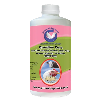 Pet Birds : Growlive Care – Pet Birds : Liver Tonic with Vitamins, Amino Acids, Probiotics, and Liver Stimulants