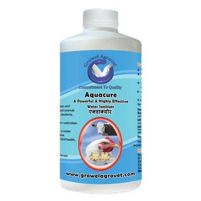 Pet Birds : Aquacure – Powerful And Highly Effective Water Sanitizer And Acidifier