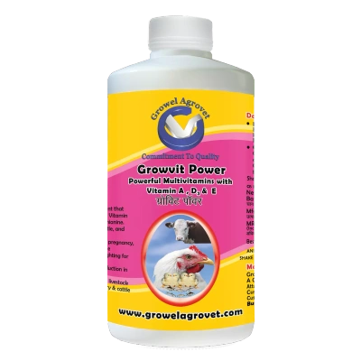 Pet Birds : Growvit Power – A Powerful Multivitamins (Vitamin AD3E)