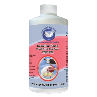 Pet Birds : Growlive Forte – A Powerful Liver Tonic For Preventing Hepatic Disorders – Diseases, Better FCR, Growth, And Feed Intake