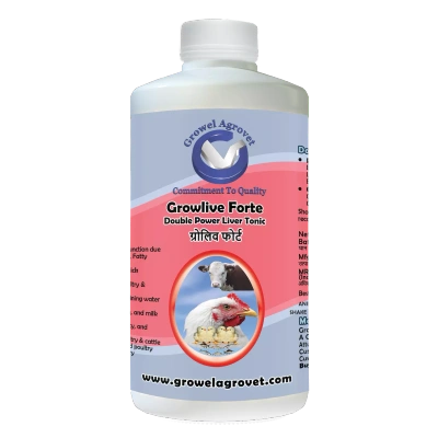 Pet Birds : Growlive Forte – A Powerful Liver Tonic For Preventing Hepatic Disorders – Diseases, Better FCR, Growth, And Feed Intake