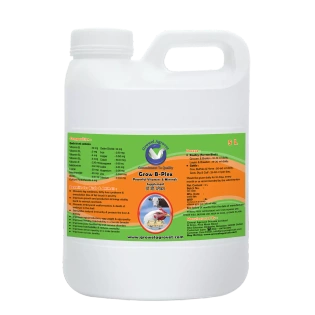 Pet Birds : Grow B-Plex – Vitamin B-Plex For Poultry : With 19 Vitamin E, Vitamin -C, Amino Acids And Minerals