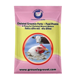 Pig and Swine : Chelated Growmin Forte- Feed Premix: Chelated Minerals Mixture