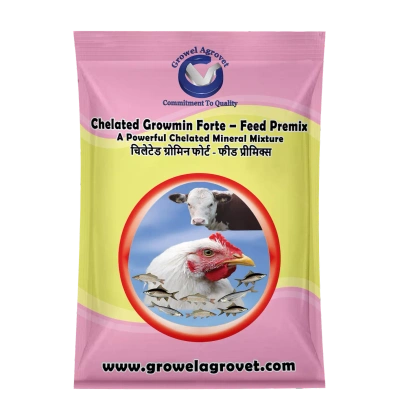 Pig and Swine : Chelated Growmin Forte- Feed Premix: Chelated Minerals Mixture