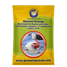 Goat and Sheep : Electral Energy – Electrolytes with Vitamins, Minerals And Probiotics