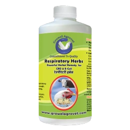 Goat and Sheep : Respiratory Herbs – Respiratory Disease (Pneumonia) Medicine