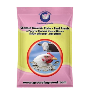 Poultry : Chelated Minerals Mixture Chelated Growmin Forte- Feed Premix