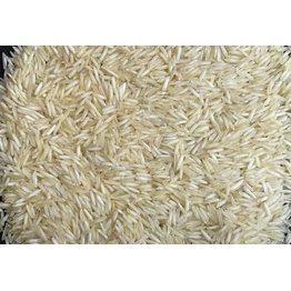 1121 Basmati (Steam, Raw, White & Golden Sella)