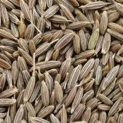 Cumin seeds Singapore 99