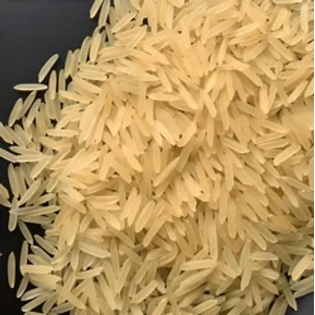 1401 Pusa Golden Rice