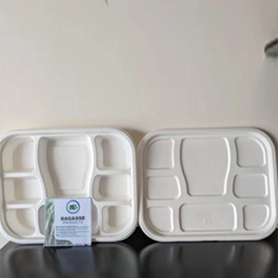 8 CP MEAL TRAY WITH LID