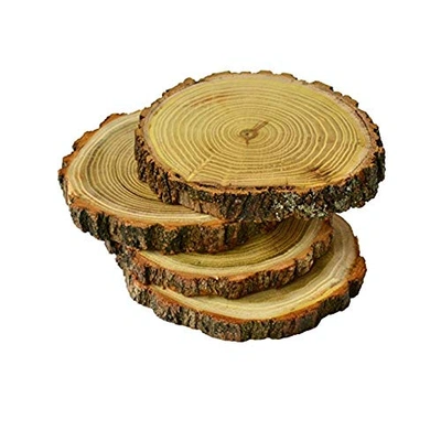 Natural Wood Slices Round Wood Slabs 4