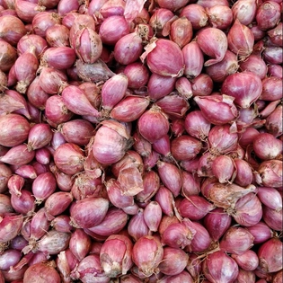 Shallots / Small Onion