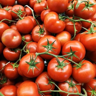 Tomato