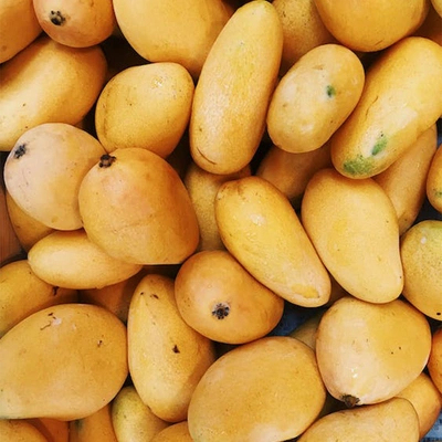 Mango